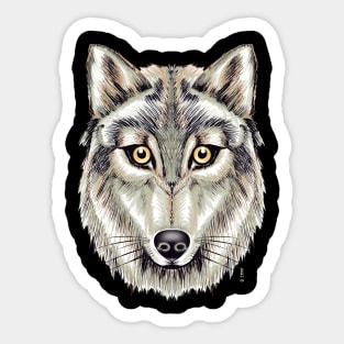 Grey wolf Sticker